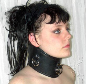 Posture Collar with three D-Rings